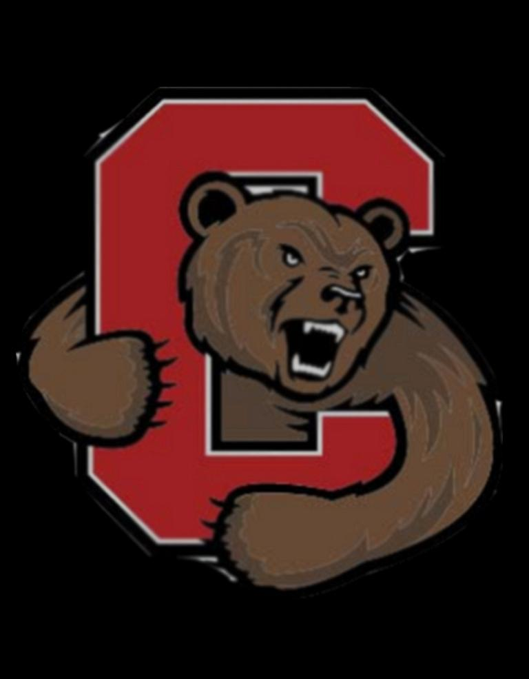 Cornell Bear